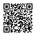 QR Stawo Seifenstahlwatte 10 Stück buy online