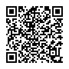 QR Rüsch Gold Ballon Katheter Ch16 40cm 5-15ml Tiema buy online