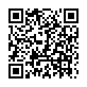 QR Minilight flashlight buy online