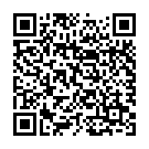 QR Feather Skalpellklingen Steril Nr 15 100 Stück buy online