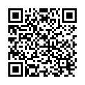 QR Slb Guardian Schluesselanhaenger Micro buy online