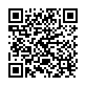 QR Ayre Cytol Spatel Holz 100 Stück buy online