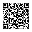 QR Zentri Roehrli 105x16mm Poly Konisch 100 Stück buy online