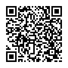 QR Mcintosh Spatel Auswechselb Fiber Optik Grösse 2 Edelst buy online