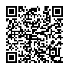 QR Accu Fox Gabelschluessel für Accu Fox Gipssaege buy online