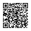 QR Assistant blood smear glass Undritz buy online