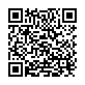 QR Sissel Venosoft vein pillow +165cm large buy online