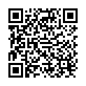 QR Provisan Xitoform Pulver Beeren 400g buy online