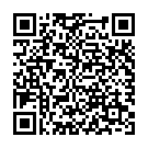 QR Assistent Tropfflasche 30ml Braunglas 100 Stück buy online