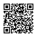 QR Remington Teflon winder 2x protection H2040 buy online