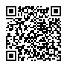 QR Assistent Braunglasflasche Tropfflasche 100ml 68 Stück buy online