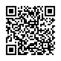QR Rico Aktiv Reiniger Sprühflasche 500ml buy online