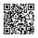 QR Riester Ri-Magic replacement lamp 8v buy online