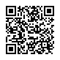 QR W&h Staubfilter Lisa 300/500 Lina buy online