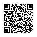 QR Varta Batterien High Energy Aaa 4 Stück buy online