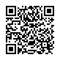 QR Alpecin Doppel-Effekt Shampoo Flasche 200ml buy online