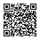 QR Bort Herniafix Fracture Adjustment 1 Pel Re Anat -115cm buy online