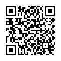 QR Heidak Teeli Flip XS A 100 filters buy online