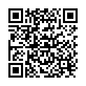 QR Schmitz Varimed treatment trolley 260.001 buy online