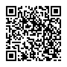 QR Bort Epi Plus Select mit Pelotte Grösse L Silbergrau buy online