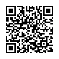 QR Xyladecor Gegen Holzwuermer Spray 125ml buy online