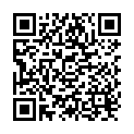 QR Beesana Op Tanga XL 20 Stück buy online