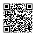 QR Dafilon 45cm Blau Dose 16 3-0 12 Stück buy online