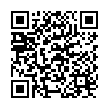 QR Schmitz Varimed Lounger Comfort 211.410 buy online