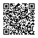 QR PHA NierenActiv für Katzen Tropfen Flasche 30ml buy online
