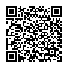 QR Sissel Yoga Socks Grösse L/XL Schwarz 1 Paar buy online