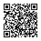 QR Schindele's Mineralien Kapseln Dose 250 Stück buy online