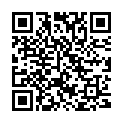 QR Waca instrument tray 29x16x6cm white buy online