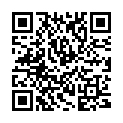 QR Lebensbaum Morgengruss 20 Beutel 1.5g buy online