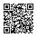 QR Lebensbaum Schwarztee Ceylon 20 Beutel 2g buy online