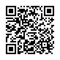 QR Lebensbaum Kaffeefilter Grösse 4 100 Stück buy online
