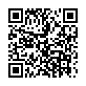 QR Lebensbaum Sternanis Ganz Beutel 10 Stück buy online