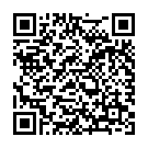 QR Sonett Sprühstärke und Bügelhilfe Spray Flasche 0.5 buy online