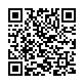 QR Belleage massage brush horsehair buy online