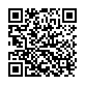 QR I.e.m. Mobil-o-graph Ng Pulse Wave Monitor buy online