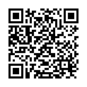 QR Nopa Scalpel Handle #3 buy online