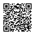 QR Fh kidney bowl 25cm steel buy online