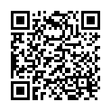 QR Fh kidney dish 27cm steel buy online