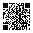 QR Nopa artery clamp Kocher Ochsner 14cm straight buy online