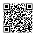 QR Nopa Kehlkopfspiegel Fig.4 buy online
