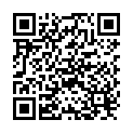 QR Nopa needle holder Mathieu-Delicate 14cm buy online