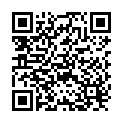 QR Nopa needle holder Mathieu-Delicate 17cm buy online