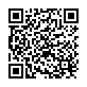 QR Nopa needle holder Mayo Hegar 16cm buy online