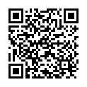 QR Nopa needle holder Ryder French-Eye 15cm buy online