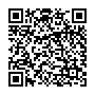 QR Braun Verbindungsstk Standardkeg/luer-lock 100 Stück buy online