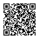 QR Ropivacain Sintetica 3mg/ml 100ml Beutel 10 Stück buy online